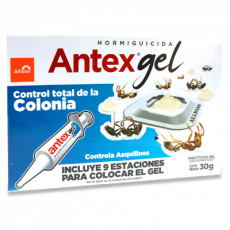 ANTEX GEL 