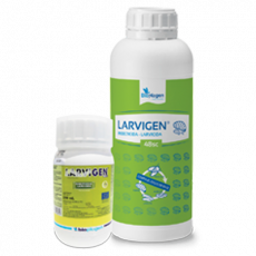 LARVIGEN - 250 ml • 1L 
